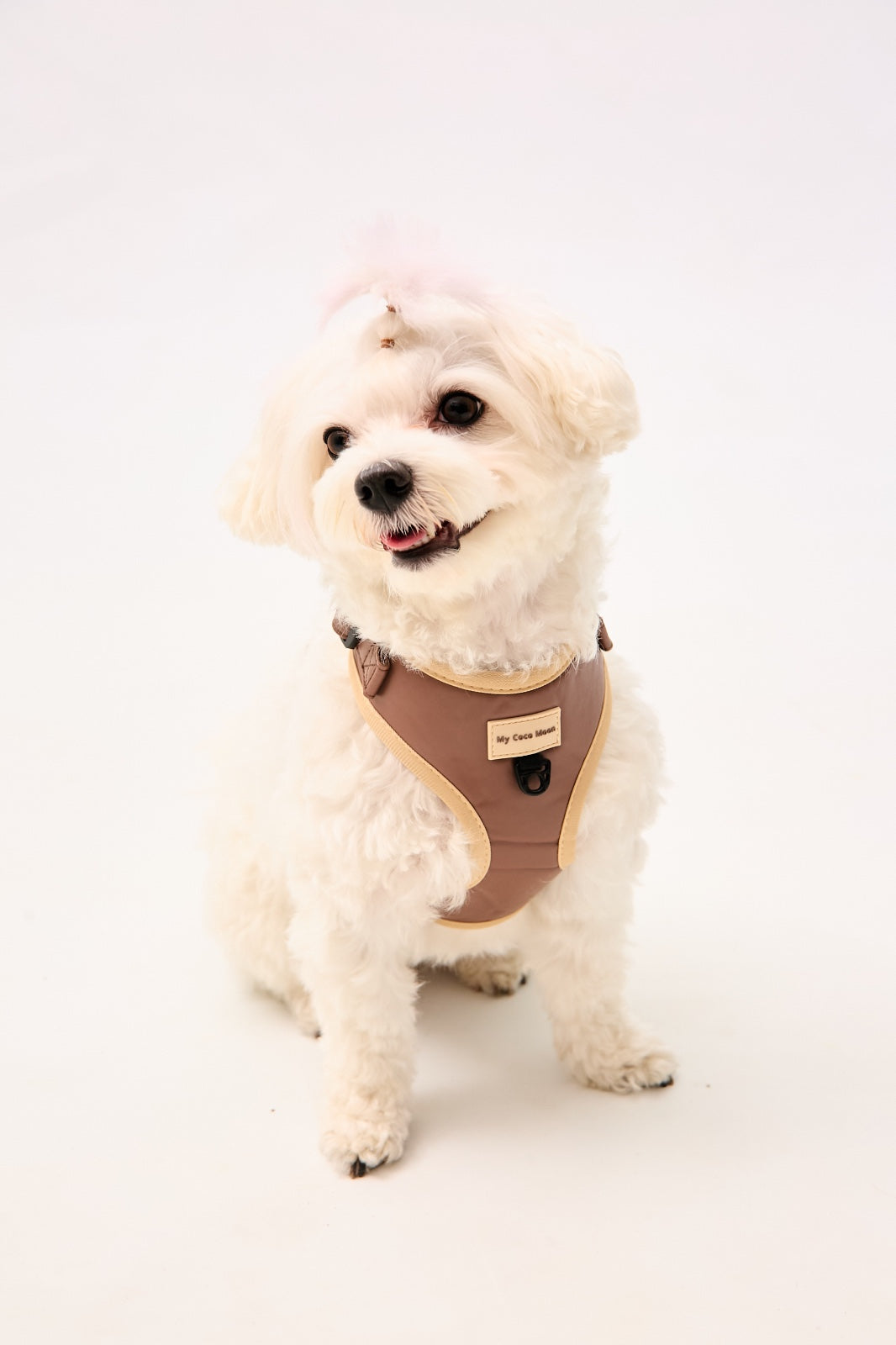 Arnés Ajustable Brownie