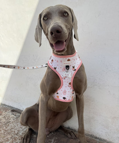 Arnés Ajustable para perro Candy Cotton
