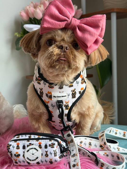 Pack Kimono Dogs - Arnés Ajustable + Correa + Porta Bolsas Doble