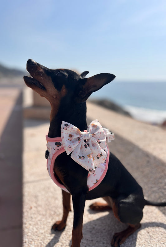 Arnés Body para perro Candy Cotton