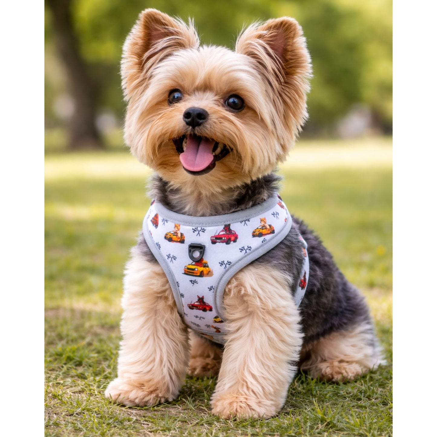 Pack Ahorro Arnés Ajustable  para perro + Correa + Porta Bolsas Rally Dogs