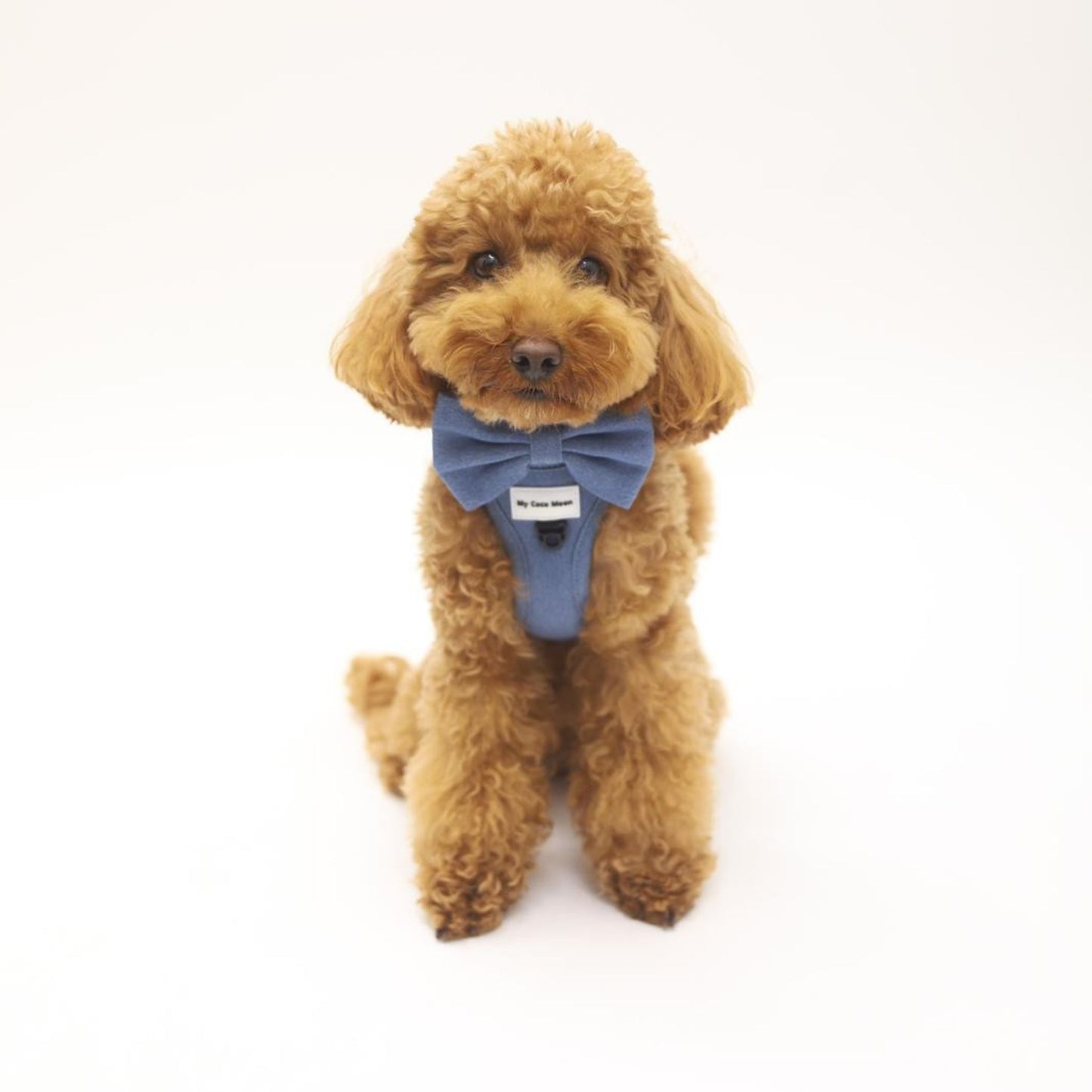 Pajarita para perro Blue Jeans