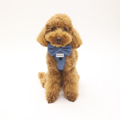 Pajarita para perro Blue Jeans
