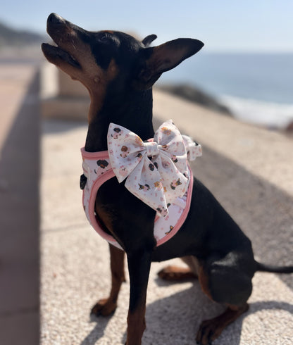 Lazo para perro Candy Cotton