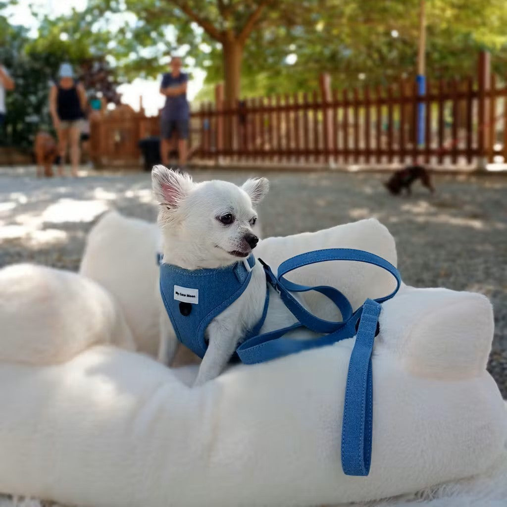 Arnés Ajustable para perro Blue Jeans