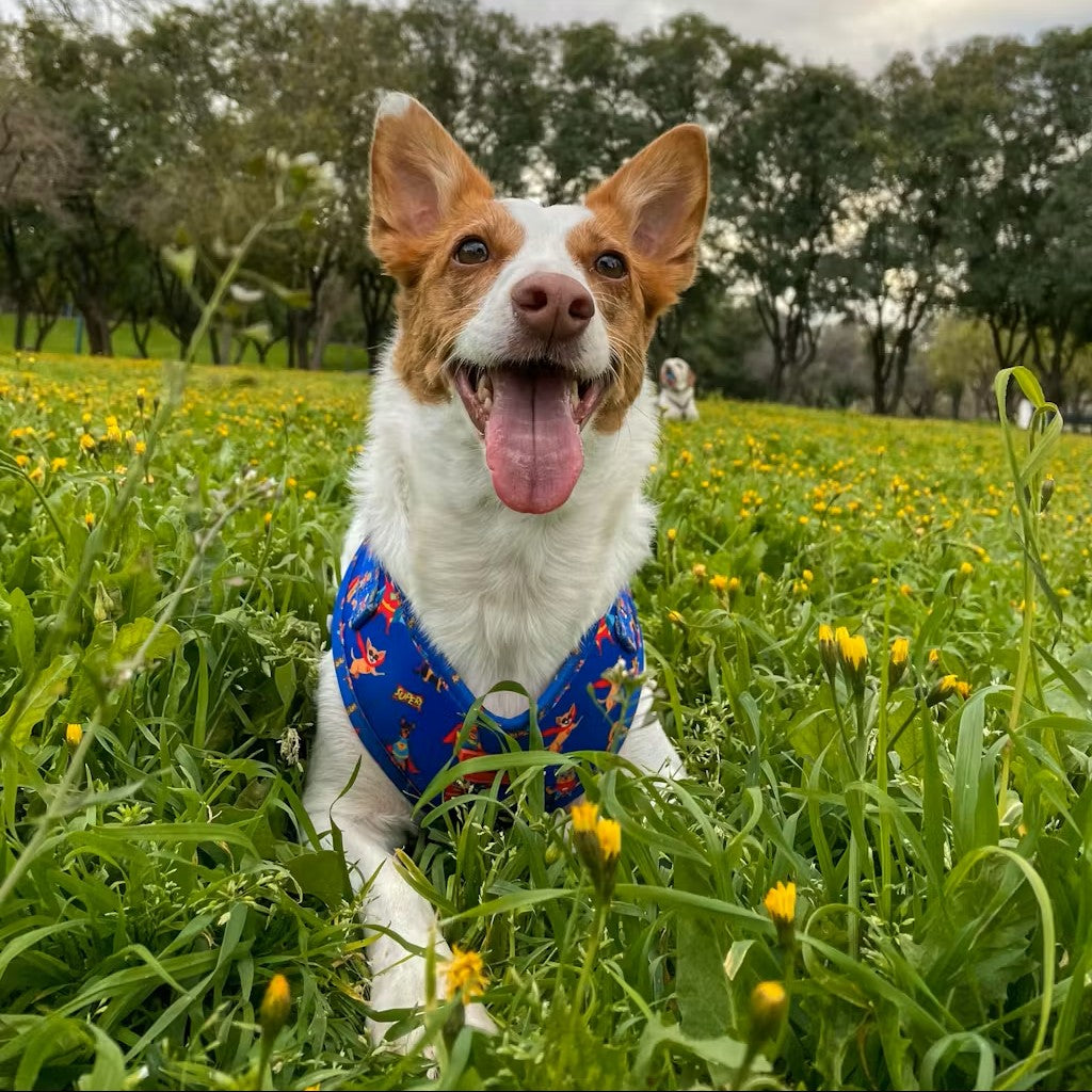 Arnés Ajustable para perro Super Dogs