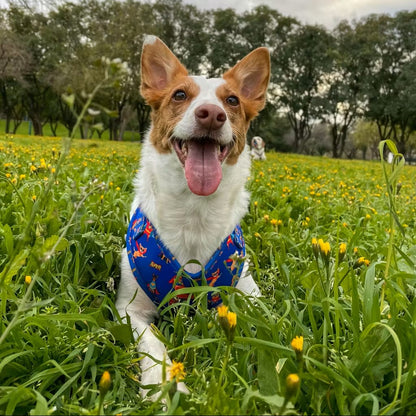 Arnés Ajustable para perro Super Dogs