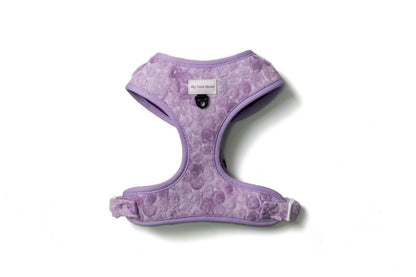 Pack Bloom & Glow  Arnés Ajustable + Correa + Porta Bolsas Doble - NUEVA COLECCIÓN