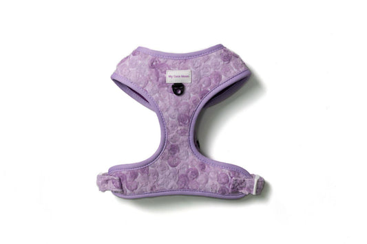 Arnés Ajustable Bloom & Glow