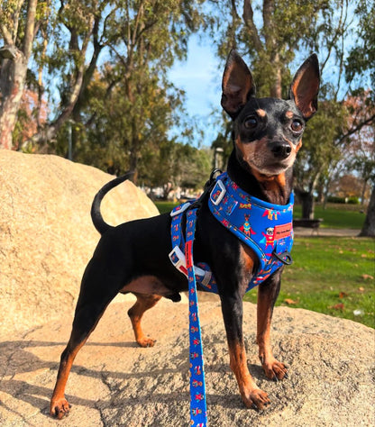 Pack Super Dogs - Arnés Ajustable + Correa + Porta Bolsas Doble