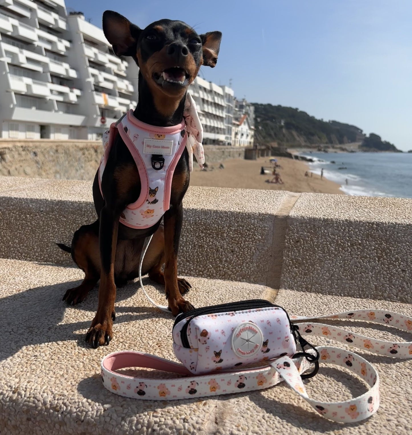 Pack Ahorro Arnés Body para perros + Correa + Porta bolsas doble Candy Cotton