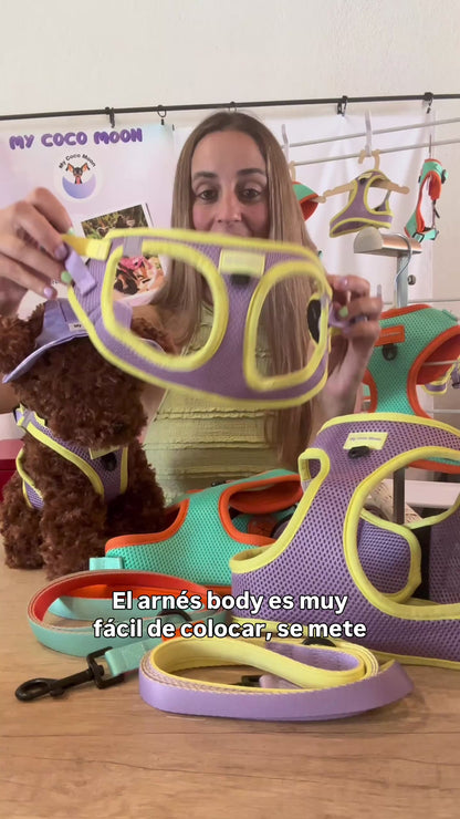 Arnés Body para perro Summer Fresh Purple