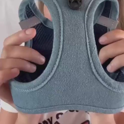 Pack Ahorro Arnés Body para perro + Correa + Porta bolsas doble Blue Jeans.