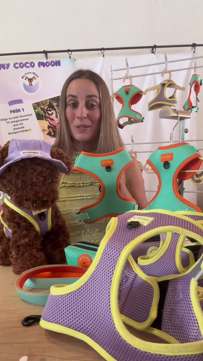 Arnés Body para perro Summer Fresh Purple